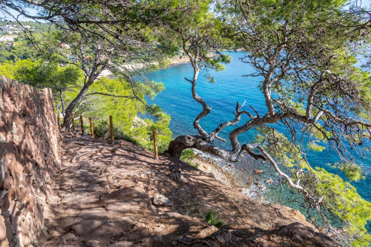 Bas De Villa Jardin Plein Sud Proche Mer Clim-Wifi Saint-Mandrier-sur-Mer Exterior photo