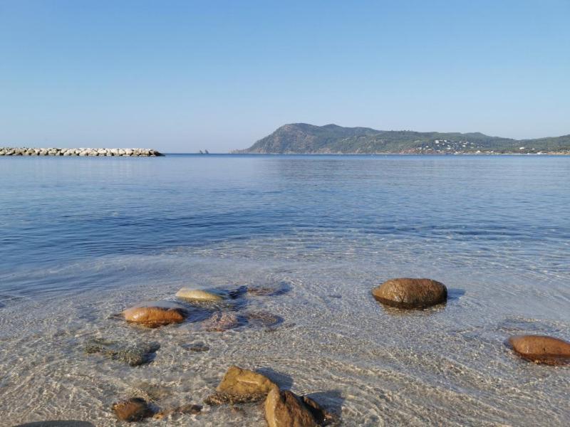 Bas De Villa Jardin Plein Sud Proche Mer Clim-Wifi Saint-Mandrier-sur-Mer Exterior photo